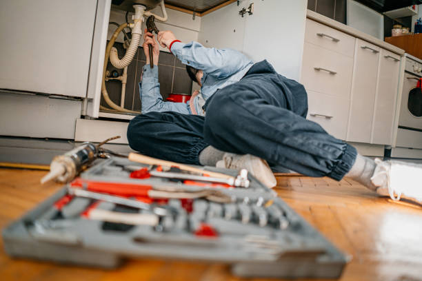 Best Water Leak Repair  in Niles, MI