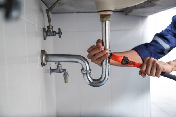Best Local Plumber Services  in Niles, MI