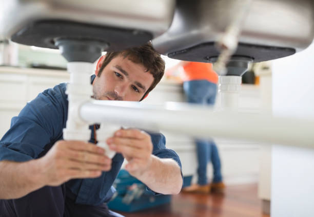 Best Best Plumbers Near Me  in Niles, MI