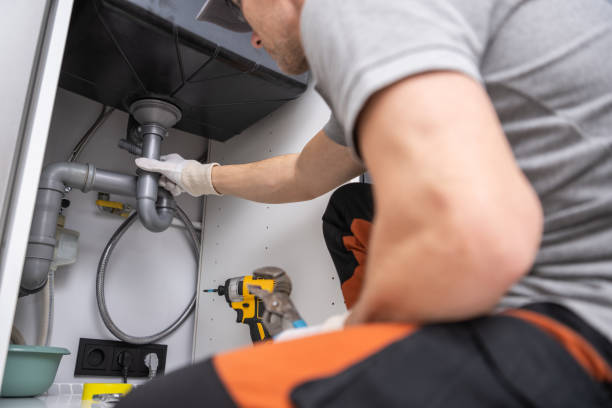 Best Plumbing Inspection Services  in Niles, MI