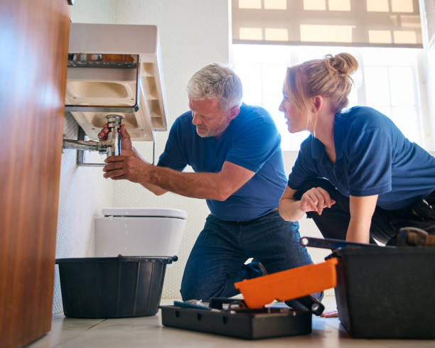 Best Affordable Plumbing Services  in Niles, MI